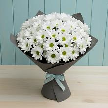 Букет цветов из:  Хризантемы #REPLACE_PRED# Юрты