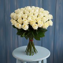 Букет 51 Белая роза Эдлесс Лав #REPLACE_PRED# Юрты