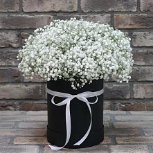 Цветочная композиция из Гипсофила в шляпной коробке в Юрты