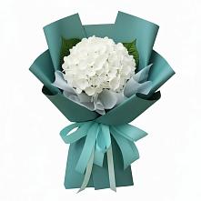 Букет цветов из:  Гортензия #REPLACE_PRED# Юрты